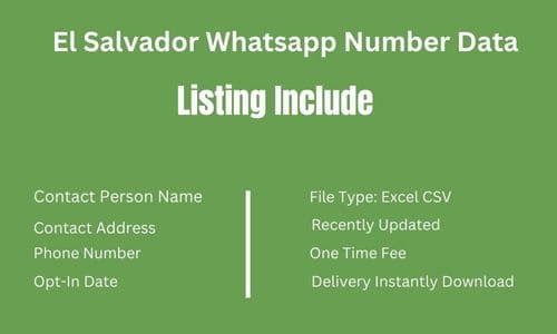 萨尔瓦多 Whatsapp 手机数据​