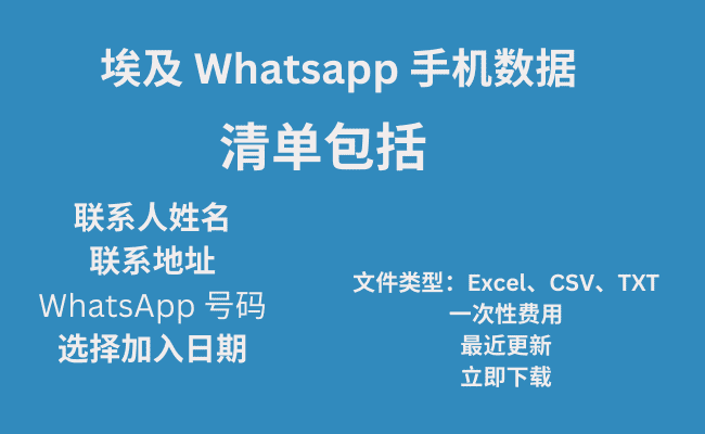 埃及 Whatsapp 手机数据